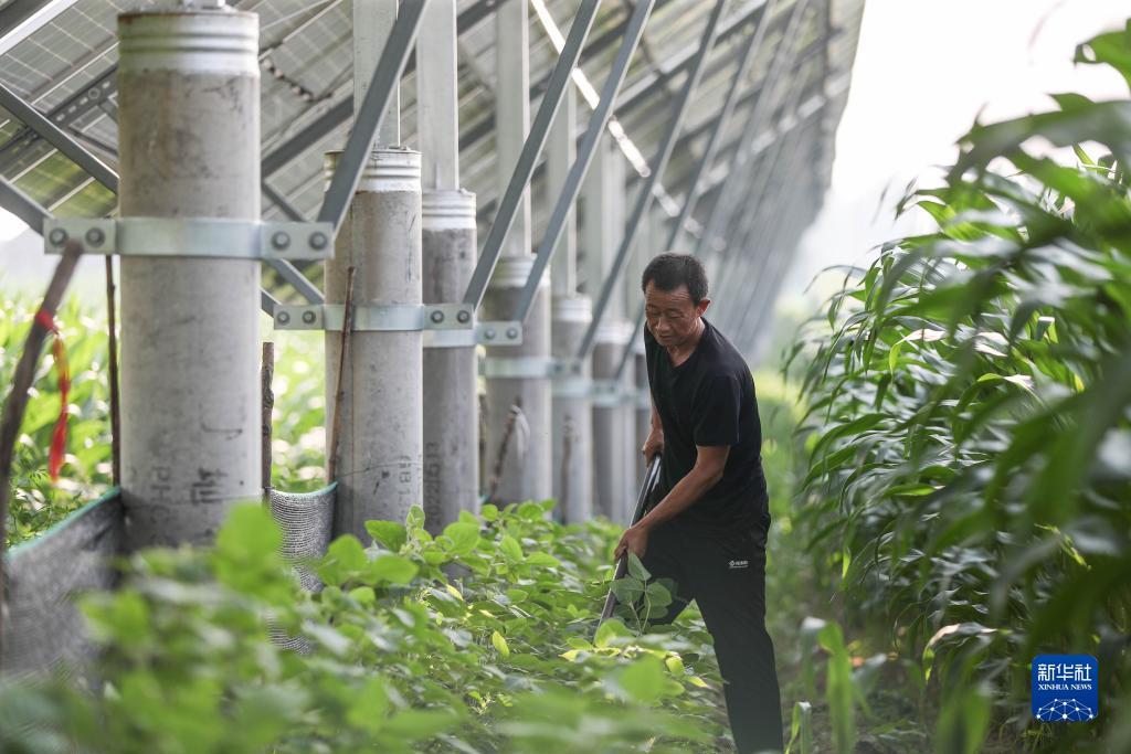足球外盘在哪买
